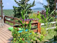 Agva Green Blue Otel Hotels in Sile