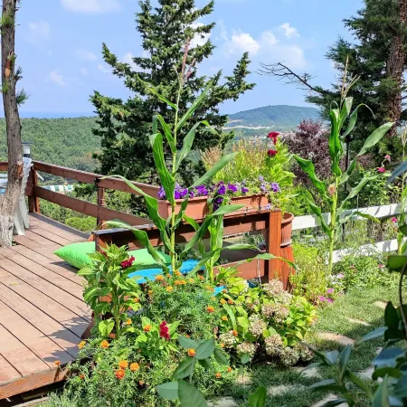 Agva Green Blue Otel