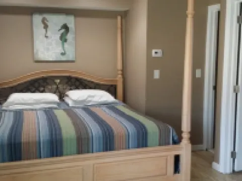 Sea Horse Motel Hotels in Long Beach Township