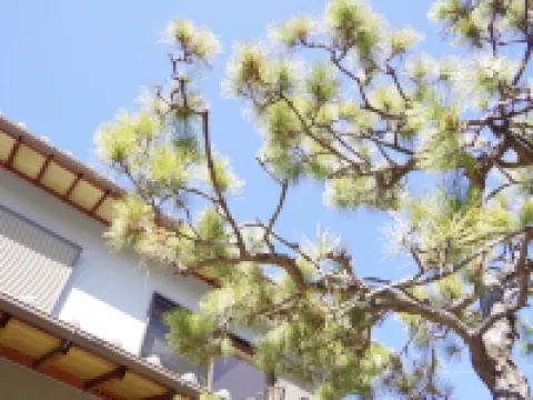 ゲストハウス BOND 島本町のホテル