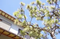 Bond - Hostel Hotels in Yawata