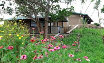 Mount K Resort - Hostel