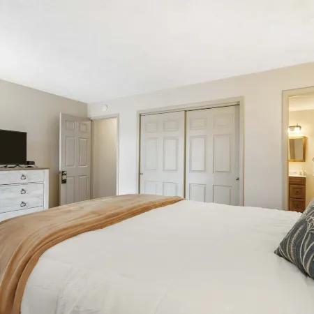 Mossy Pines of the Ozarks