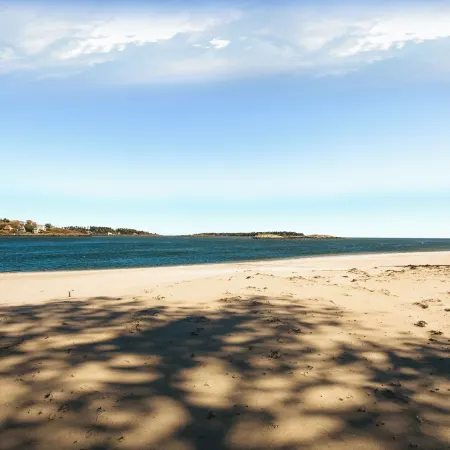 Spinneys Guesthouse & Beach Cottages