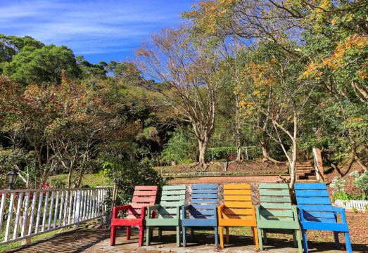 3. 프라도 힐 홀리..