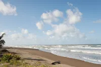 Turtle Beach Lodge - Beach