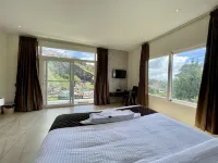 The Lake House