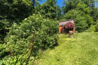 Cozy Cabin with an RV &Camper Hookup Pet Friendly Peaceful & Relaxing