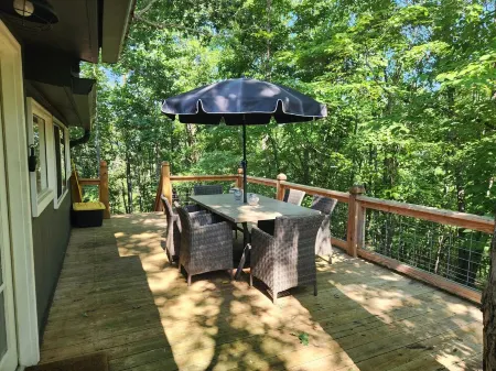 Cozy and Private Gem Cabin in the Smoky Mtns of NC, dog friendly,  great views!