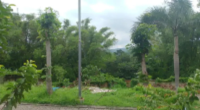 The Nonik Guest House Near Bess Hotel dan resort