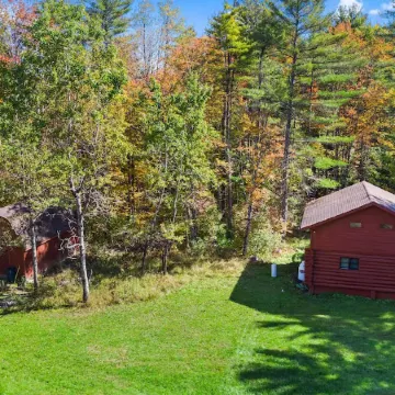 Picturesque Cabin ,Arcade, Fireplace