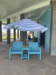 Wow This View!! Watch Dolphins Swim & Swing Downstairs with Gulf & Beach Views!
