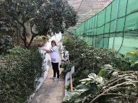 Houses The road of Tamadaba