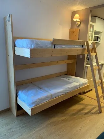 Studio at the foot of the slopes( SKI resort)