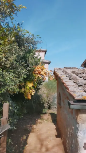 Chateau / Country House