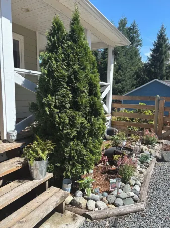 Pet Friendly Family Home in Shawnigan Lake Отели в г. Шониган Лейк