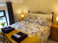 Brook Haven:Traditional Irish Farmhouse فنادق في بيليمينا