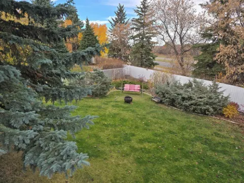 Cozy Pet Friendly Guest Suite