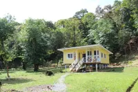 The Birds Nest, birds, close to area surfing,