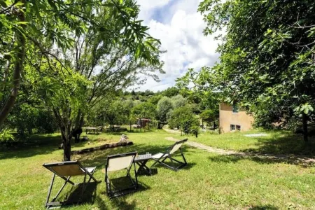 Podere Tepolino: among olive trees, quiet and Monte Amiata