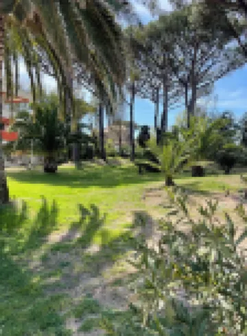 Saint Tropez gendarme apartment