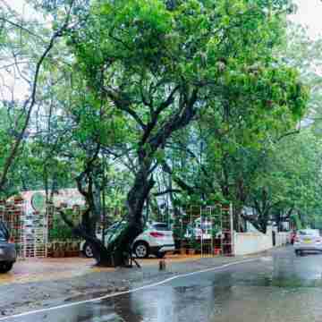 Cozy Rooms in Vagator Beach Others