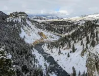 Eagle Nest Cabin Yellowstone Getaway in Cooke City