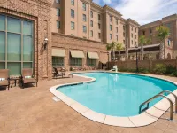 فنادق إيمبيسي سويتس من هيلتون، منطقة سافانا التاريخية Hotels near فورسيث بارك