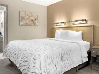 Red Roof Inn Bowling Green Hotels in Warren County
