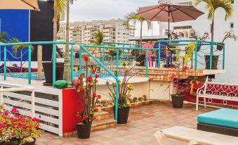 La Iguana Vallarta Lgbt Adults Only - Romantic Zone - Party Clubbing Street