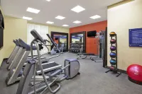 Hampton Inn Detroit/Dearborn - Gym