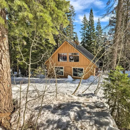 Near Hiking and Skiing Bear Valley Cabin!
