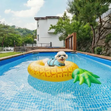 Gapyeong Santa Maria Dog-Friendly Privat Отели рядом с достопримечательностью «Интерактивный художественный музей»
