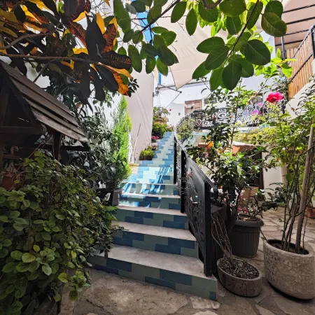 El Jardín de la Abuela
