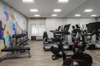 Hyatt Place Atlanta Arpt South - Kuntosalit