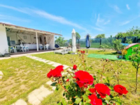 Casa Cochilia-Camere de inchiriat Hotels in 