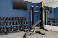 Hampton Inn Detroit/Southgate - Gym