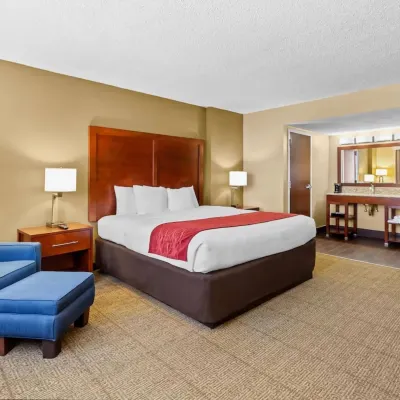Comfort Inn & Suites Lakeland North I-4 Hotels near Henley Field