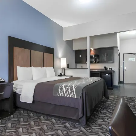 Comfort Inn & Suites I-10 Airport