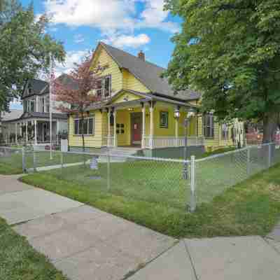 Maple Manor City Scene Others