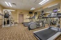 Econo Lodge Inn & Suites Triadelphia - Wheeling - Gym