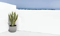 Sandras Suite with Outdoor Hot Tub and Sea View