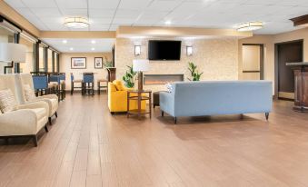 Comfort Inn Downtown
