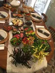 Rumevi - Bed and Breakfasts