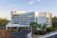 Marriott Raleigh Durham Research Triangle Park - bar