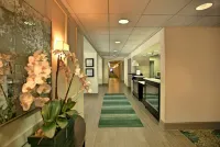 Hampton Inn Natchitoches - Wifi