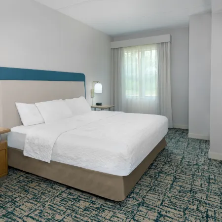 Homewood Suites by Hilton Buffalo - Airport