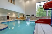Hampton Inn by Hilton Chilliwack - Pools