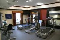 布倫納姆歡朋套房酒店 - 健身室/gym room