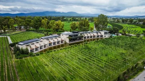 Viñedos San Francisco - 5-Star